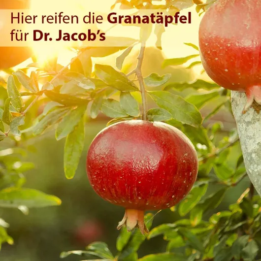 Granatapfel Weihrauch Creme 50 ml