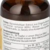 Grapefruit Kern Extrakt Pur 30 ml Extrakt