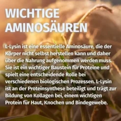 Green Naturals L-Lysin 1200mg hochdosiert vegan 120 Kapseln