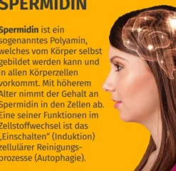 Green Naturals Spermidin Forte 5,5 mg 90 Kapseln