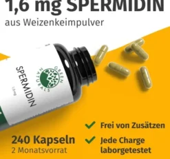 Green Naturals Spermidin 1,6 mg Vegan 240 Kapseln