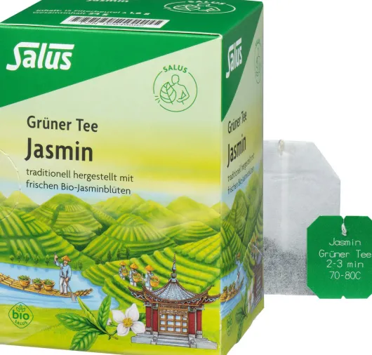 Grüner Tee Jasmin Bio Salus 15 Filterbeutel
