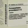 Harpagophytum Procumbens D12 Dhu 80 Tabletten