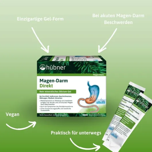 Hübner Magen-Darm Direkt Gel 30 x 15 ml