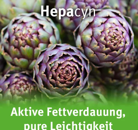 Hepacyn Artischocke 60 Filmtabletten