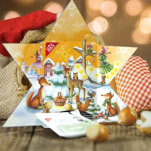 H&S Adventskalender Stern Filterbeutel 24 Stück