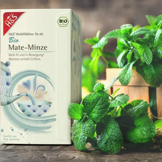 H&S Bio Mate - Minze Filterbeutel 20 X 1,8 G