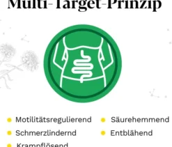 Iberogast Sparset 2 x 20 ml Tropfen