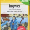 Ingwer Kräuter Gewürztee-Mischung Bio Salus 40 Beutel