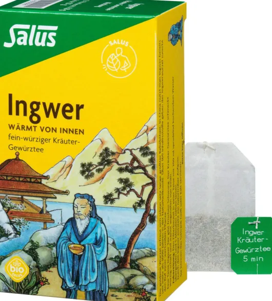 Ingwer Kräuter Gewürztee Salus