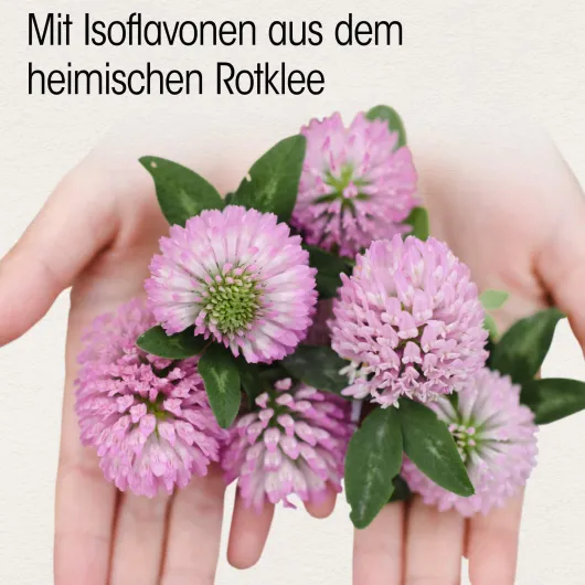 Isoflavon 90 mg Dr. Böhm 60 Dragees