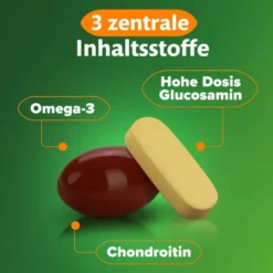 KyttaVit Extra Glucosamin Kombipackung