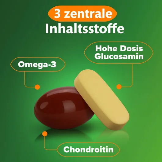 KyttaVit Extra Glucosamin Kombipackung