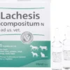 Lachesis Compositum N vet. 5 Ampullen