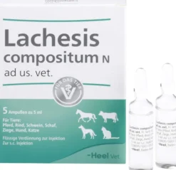 Lachesis Compositum N vet. 5 Ampullen