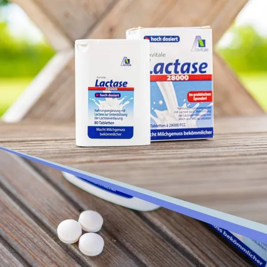 Lactase 28.000 FCC 80 Tabletten im Spender