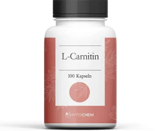 L Carnitin 500 mg 100 Kapseln