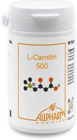 L-Carnitin 500 mg Kapseln