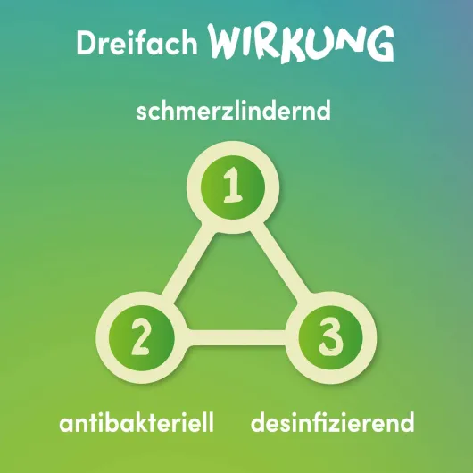 Lemocin gegen Halsschmerzen 50 Lutschtabletten