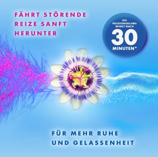 Lioran classic für Nacht und Tag 80 Hartkapseln