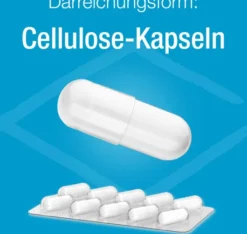 Magnesium Verla 125 mg 60 Kapseln