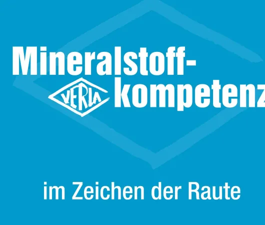 Magnesium Verla N Konzentrat 500 Pulver