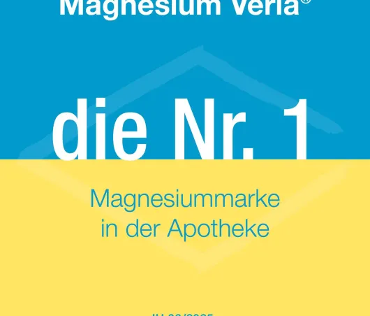 Magnesium Verla N 10 x 100 Dragees