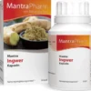 Mantra Ingwer 60 Kapseln