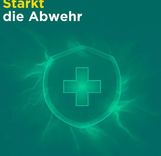 Meditonsin Extract Junior pflanzliche Erkältungstabletten 60 Stück