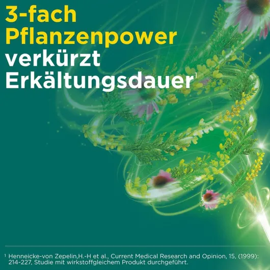 Meditonsin Extract Junior pflanzliche Erkältungstabletten 60 Stück