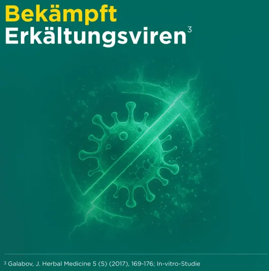 Meditonsin Extract pflanzliche Erkältungstabletten 40 Stück