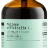 Melissen Extrakt Kräuter Tropfen alkoholfrei 100 ml