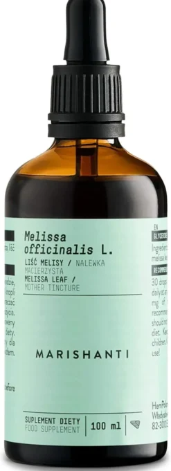 Melissen Extrakt Kräuter Tropfen alkoholfrei 100 ml