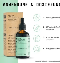 Melissen Extrakt Kräuter Tropfen alkoholfrei 100 ml