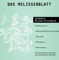 Melissen Extrakt Kräuter Tropfen alkoholfrei 100 ml