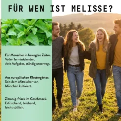Melissen Extrakt Kräuter Tropfen alkoholfrei 100 ml