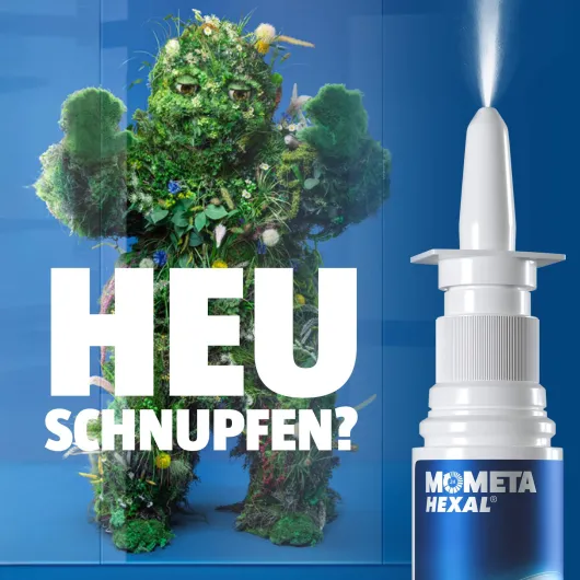 Mometahexal Heuschnupfenspray 50µg 60 Sprühstöße 10 g Nasenspray