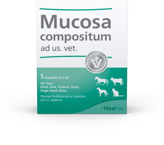 Mucosa Compositum Ampullen vet. 5 X 5 ml