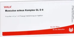 Musculus Soleus Komplex Gl D 8 Ampullen
