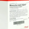 Musculus Suis Injeele