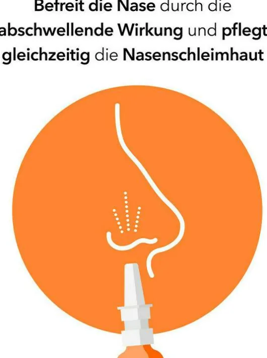 NasenDuo Nasenspray Kinder 10 ml