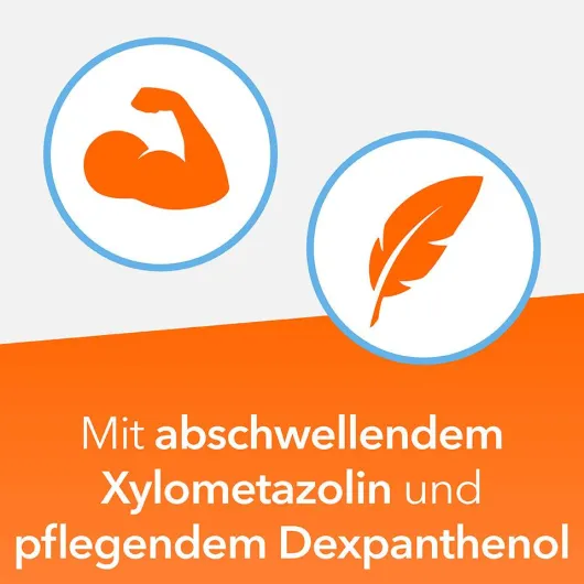 NasenDuo Nasenspray 2 x 10 ml