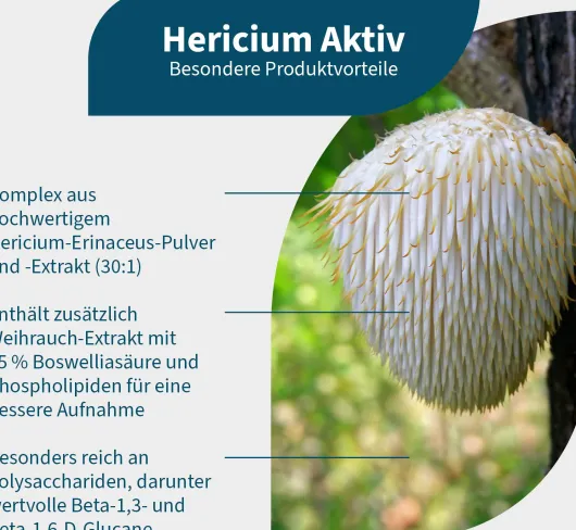 NatuGena Hericium Aktiv 90 Kapseln