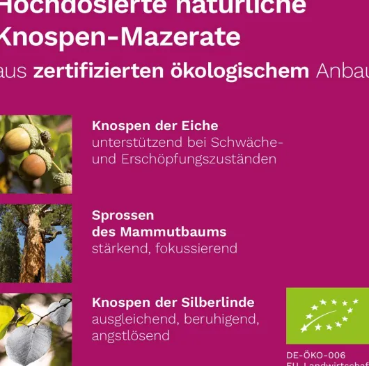 Nerven Plus Dr.Koll Gemmo Komplex Vitamin B12 B6 Tropfen 50 ml