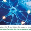 Neurologes Concept 60 Kapseln