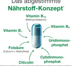 Neurologes Concept 60 Kapseln