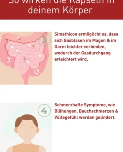 N1 Reizdarm-Syndrom Kapseln 30 Stück