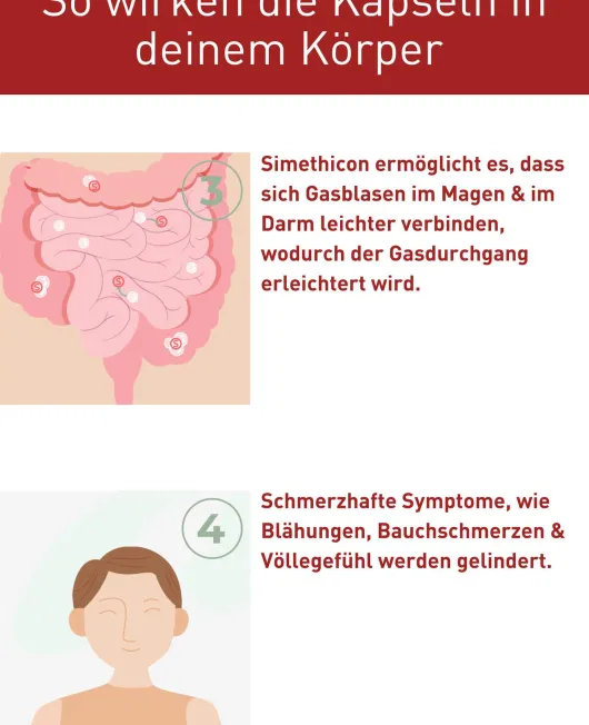 N1 Reizdarm-Syndrom Kapseln 30 Stück
