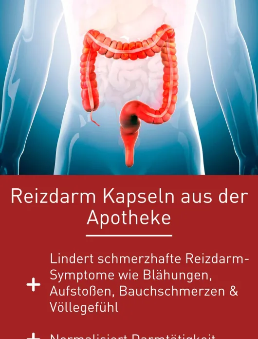 N1 Reizdarm-Syndrom Kapseln 30 Stück