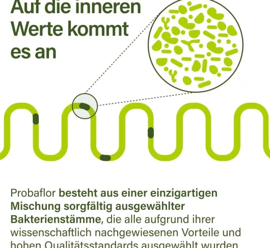 nupure probaflor Probiotika zur Darmsanierung 90 Kapseln